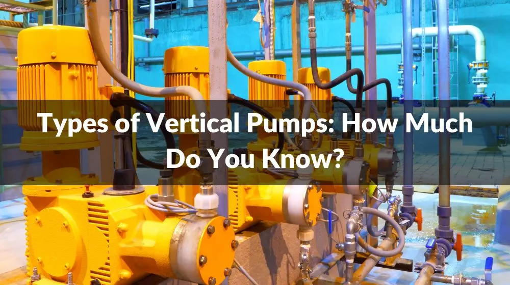 Types of Vertical Pumps